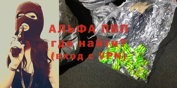 СК Новозыбков