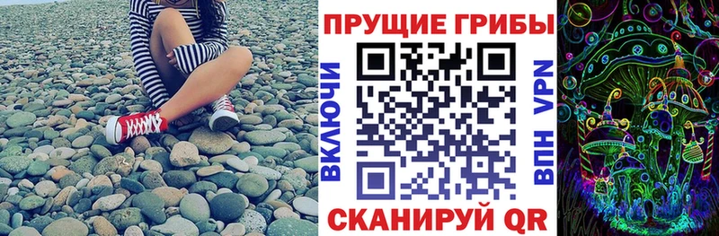 где найти   Красный Сулин  KRAKEN ссылки  площадка клад  Псилоцибиновые грибы Psilocybine cubensis 